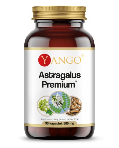 Astragalus Premium™ - 90 kaps.