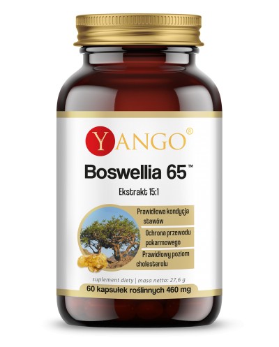 Boswellia 65™ - 60 kapsułek