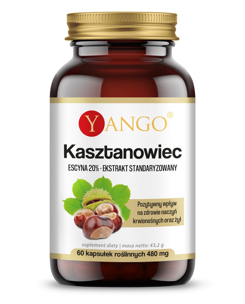Kasztanowiec - ekstrakt - 20% escyny - 60 kaps.