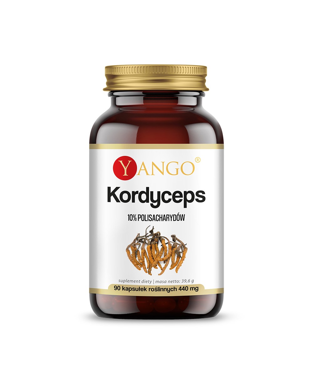 Kordyceps - ekstrakt 10% polisacharydów - 90 kaps.